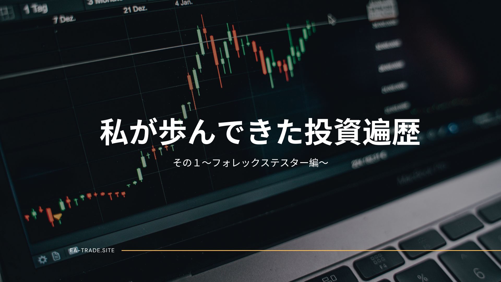 私が歩んできた投資遍歴(その1)~フォレックステスター編~ tousihenreki01