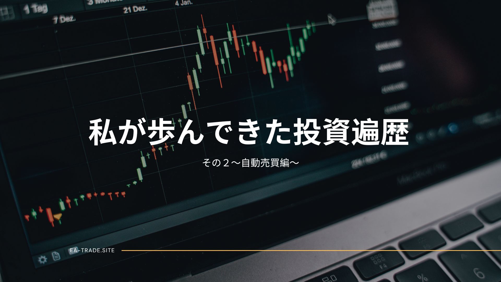 私が歩んできた投資遍歴(その2)~自動売買編~ tousihenreki02
